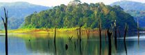 Unique Kerala Honeymoon Travel Package